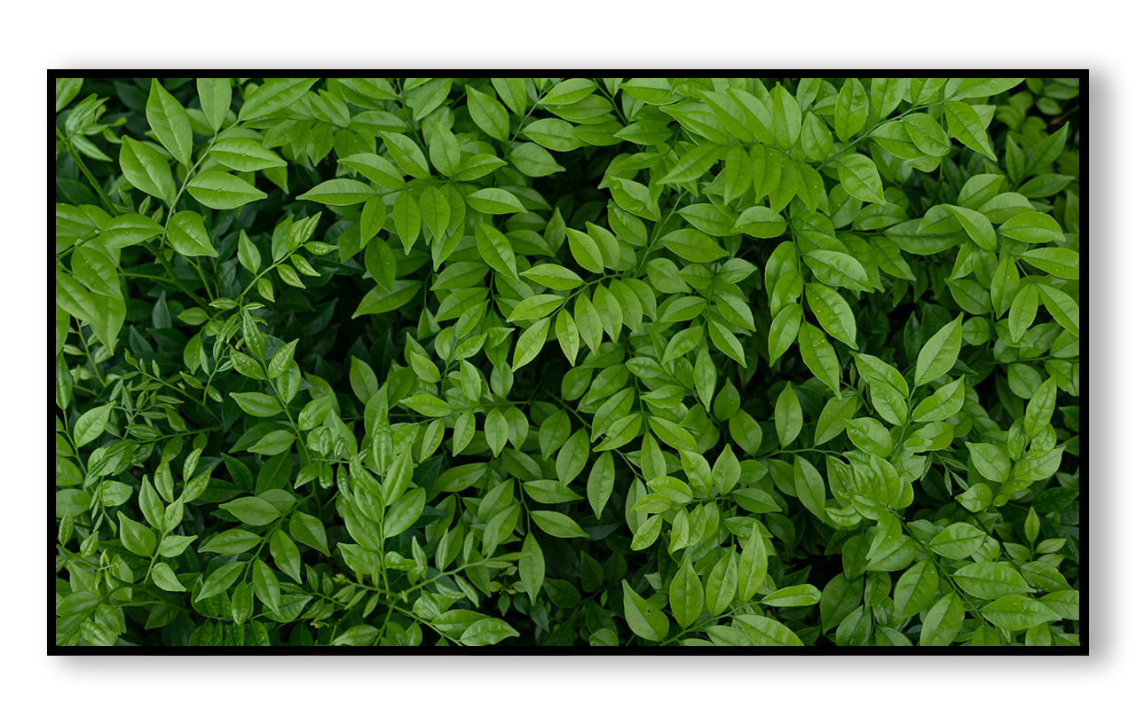 Монитор Lumien LB4335SDUHD